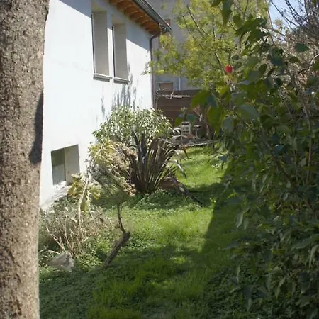 Fiadora * Decimoputzu